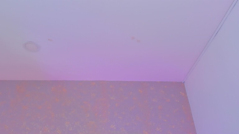 CarolGomeez's Streamate show and profile